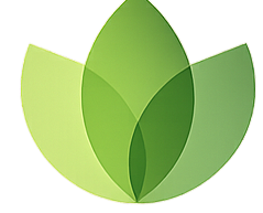 Wellness Theory Logo